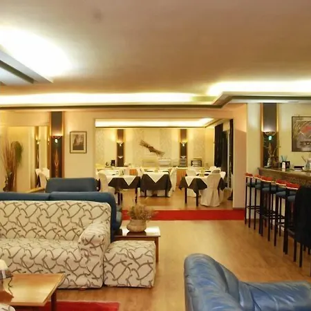 Hotell Dryas 4*