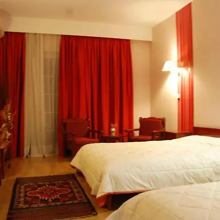 Hotell Dryas Mega Chorio