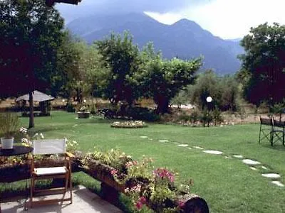 Dryas Mega Chorio